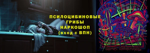 Альфа ПВП Михайлов