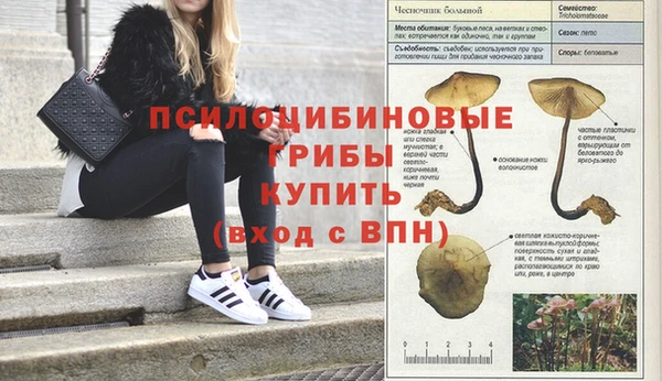 дурь Навашино