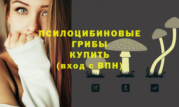 Альфа ПВП Михайлов