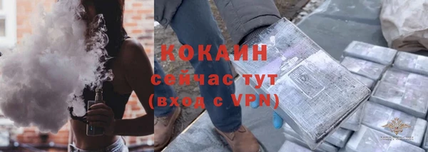 стафф Михайловск