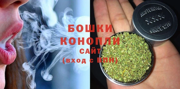 стафф Михайловск
