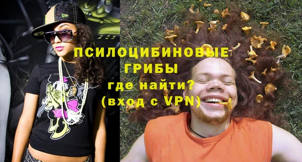 2c-b Надым
