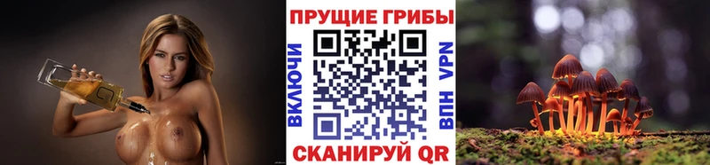 Галлюциногенные грибы GOLDEN TEACHER  Губкинский 