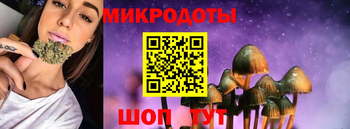 Галлюциногенные грибы прущие грибы Губкинский