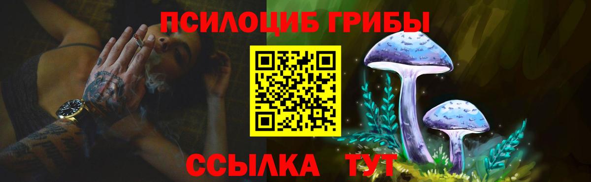 Губкинский  Псилоцибиновые грибы прущие грибы  Вход с VPN  Галлюциногенные грибы GOLDEN TEACHER 